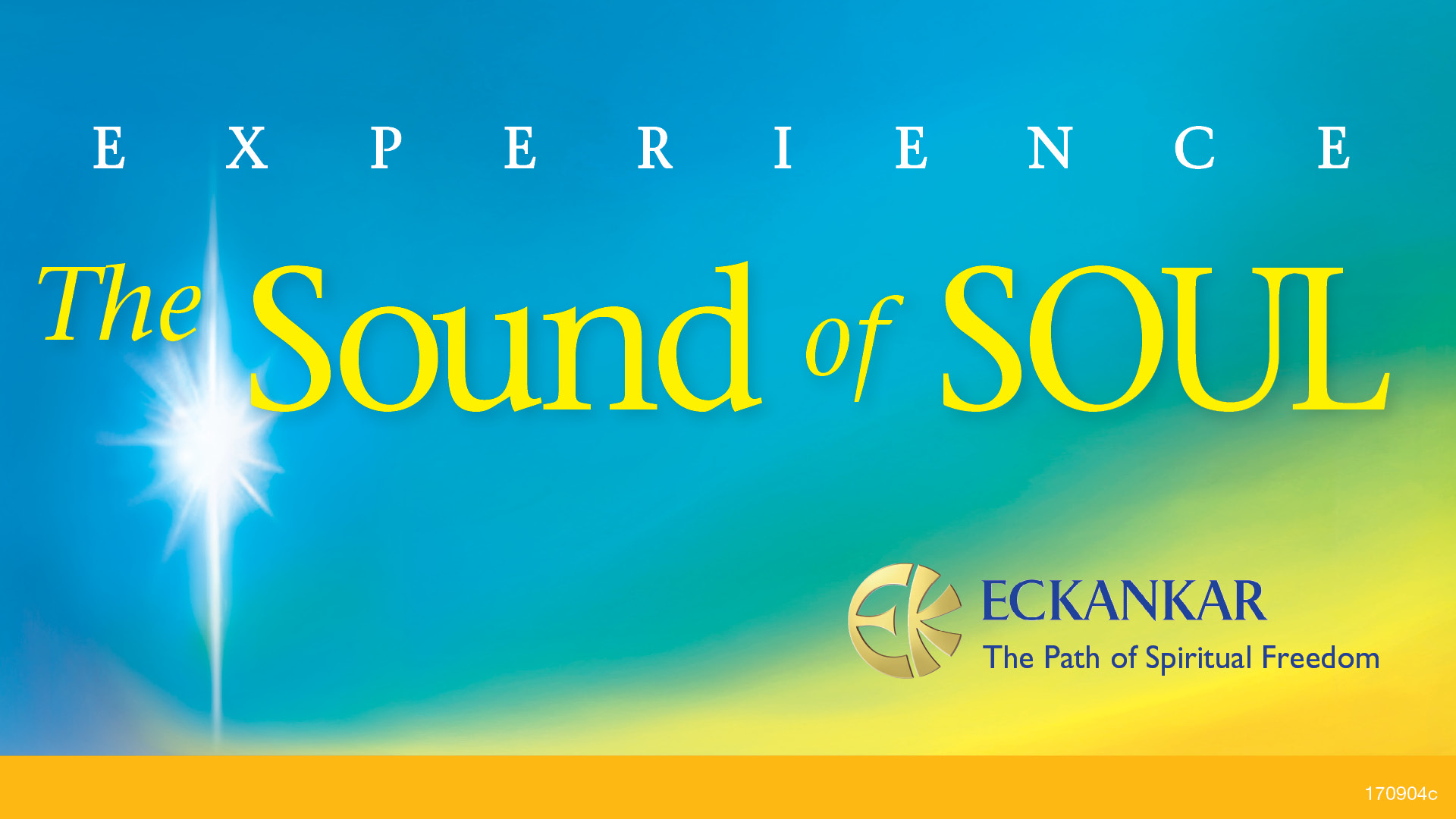 SOS_graphic copy